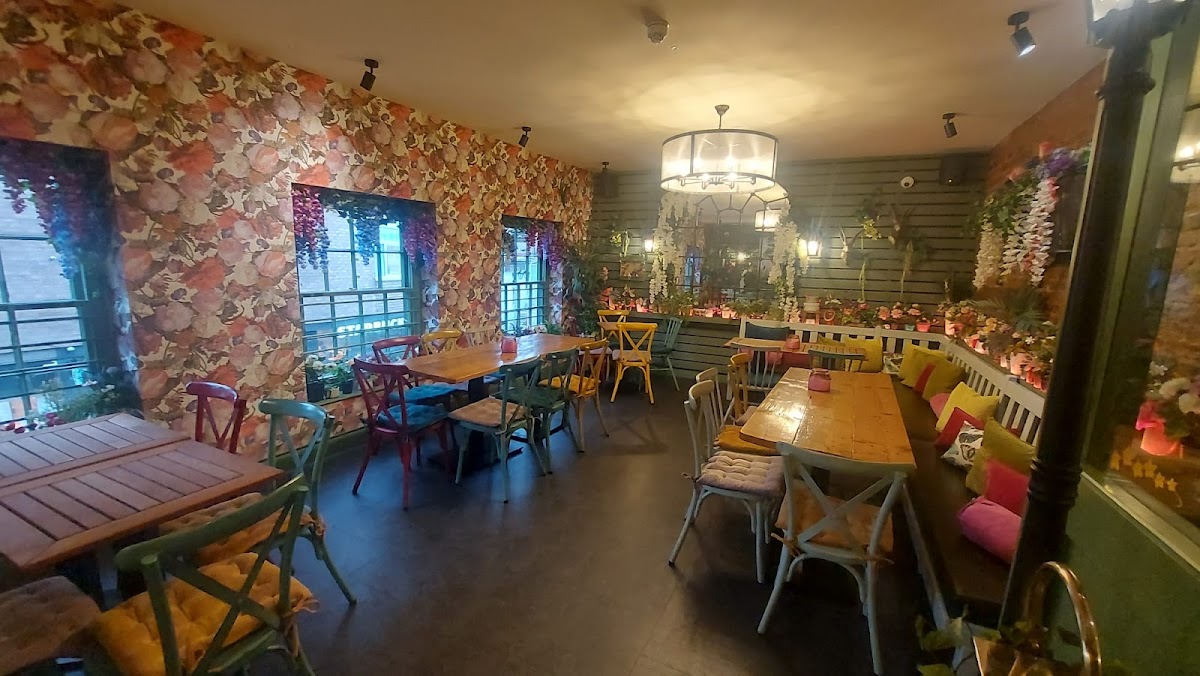 The Curious Mr Fox — photo 1