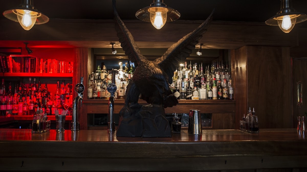 The Dark Horse — photo 1