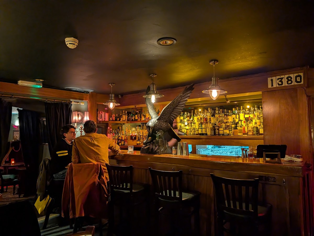 The Dark Horse — photo 3