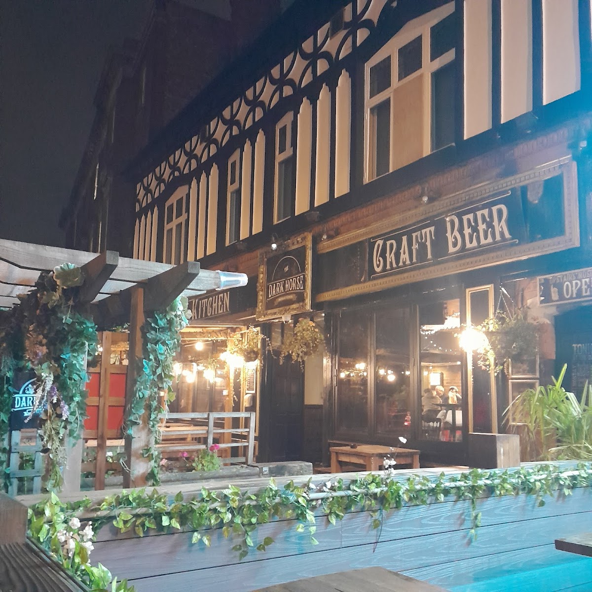 The Dark Horse — photo 4