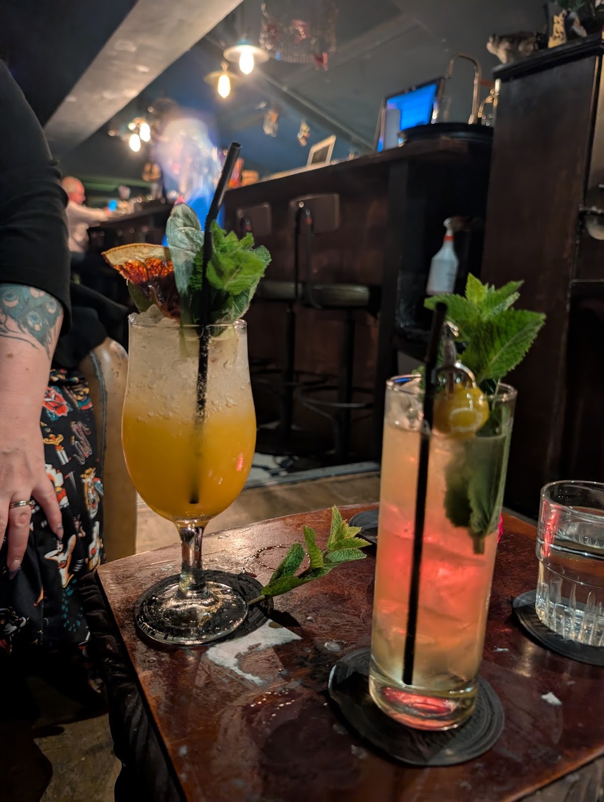 The Dead Canary — photo 3