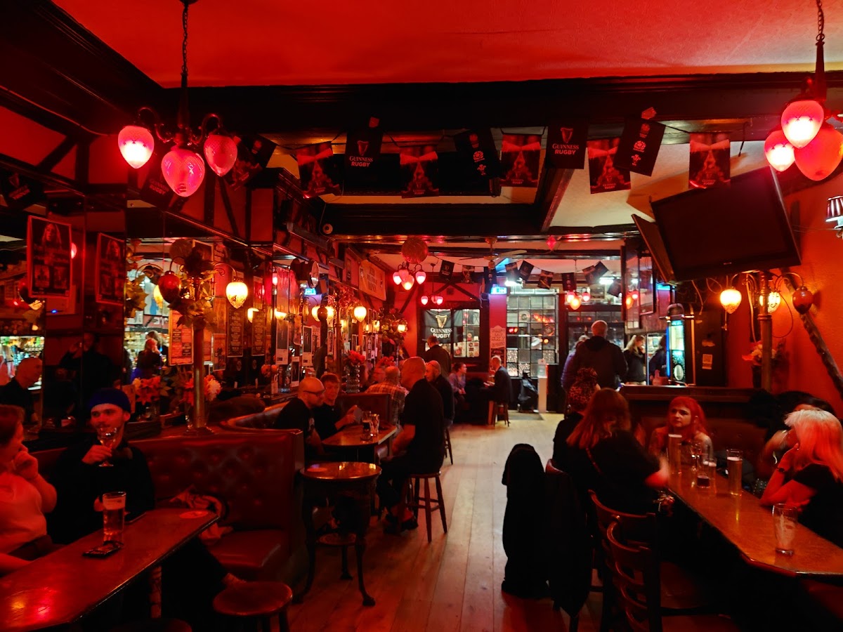 The Dublin Castle — photo 4