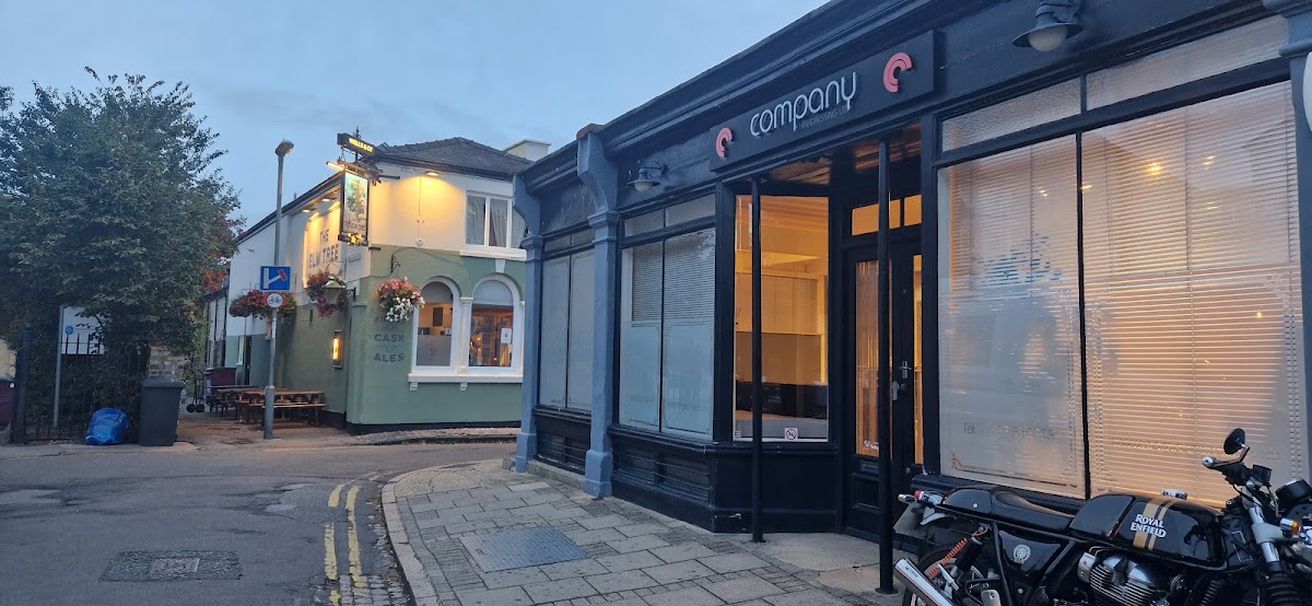 The Elm Tree — photo 1