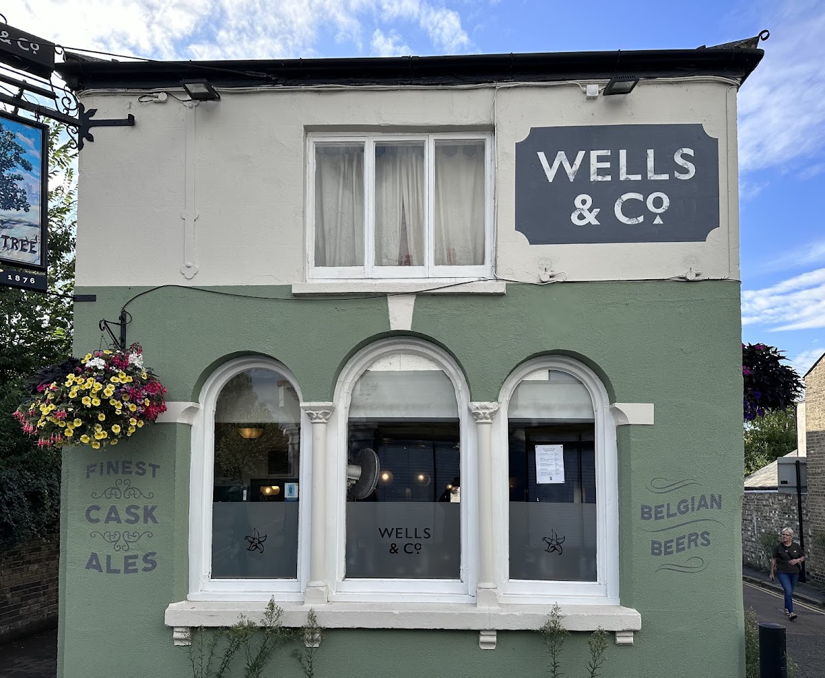 The Elm Tree — photo 4