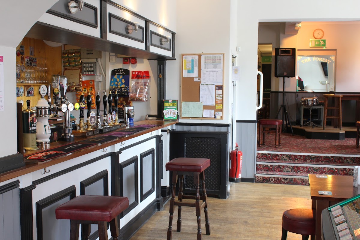 The Forest — photo 2