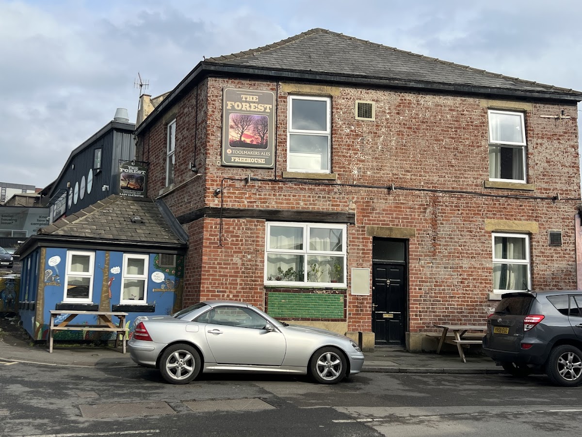 The Forest — photo 4