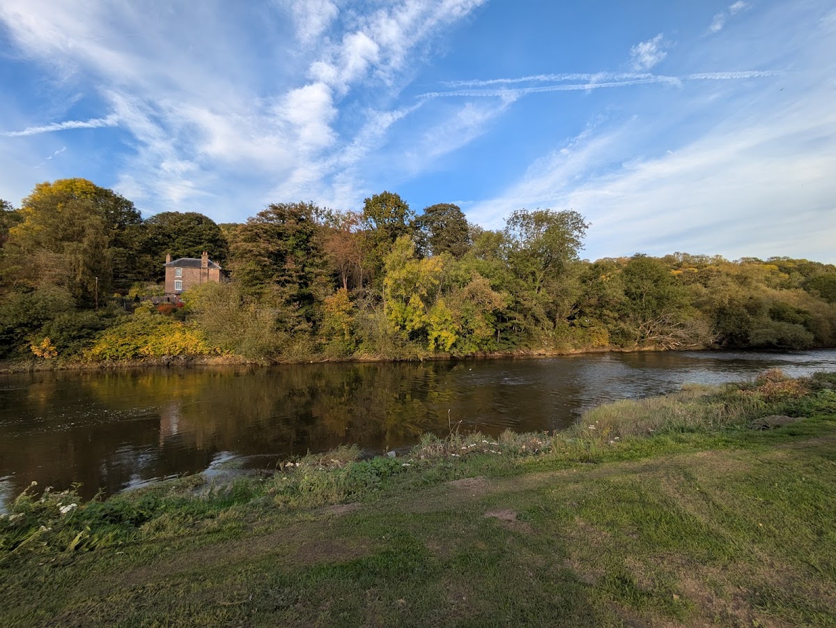 The Half Moon Inn — photo 4