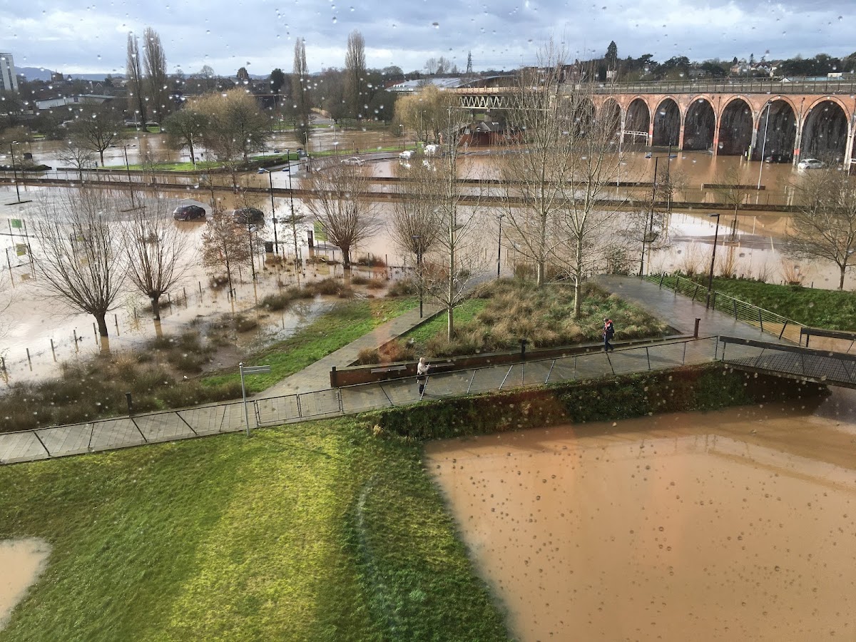 The Hive — photo 4