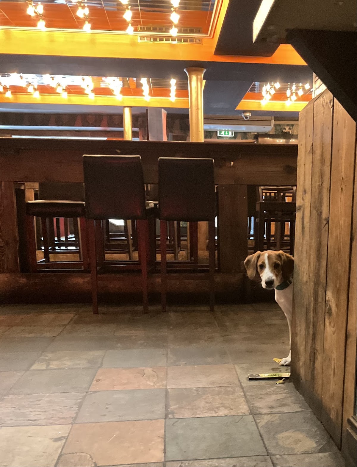 The Howlin' Wolf: Bar, Kitchen, Juke Joint — photo 1