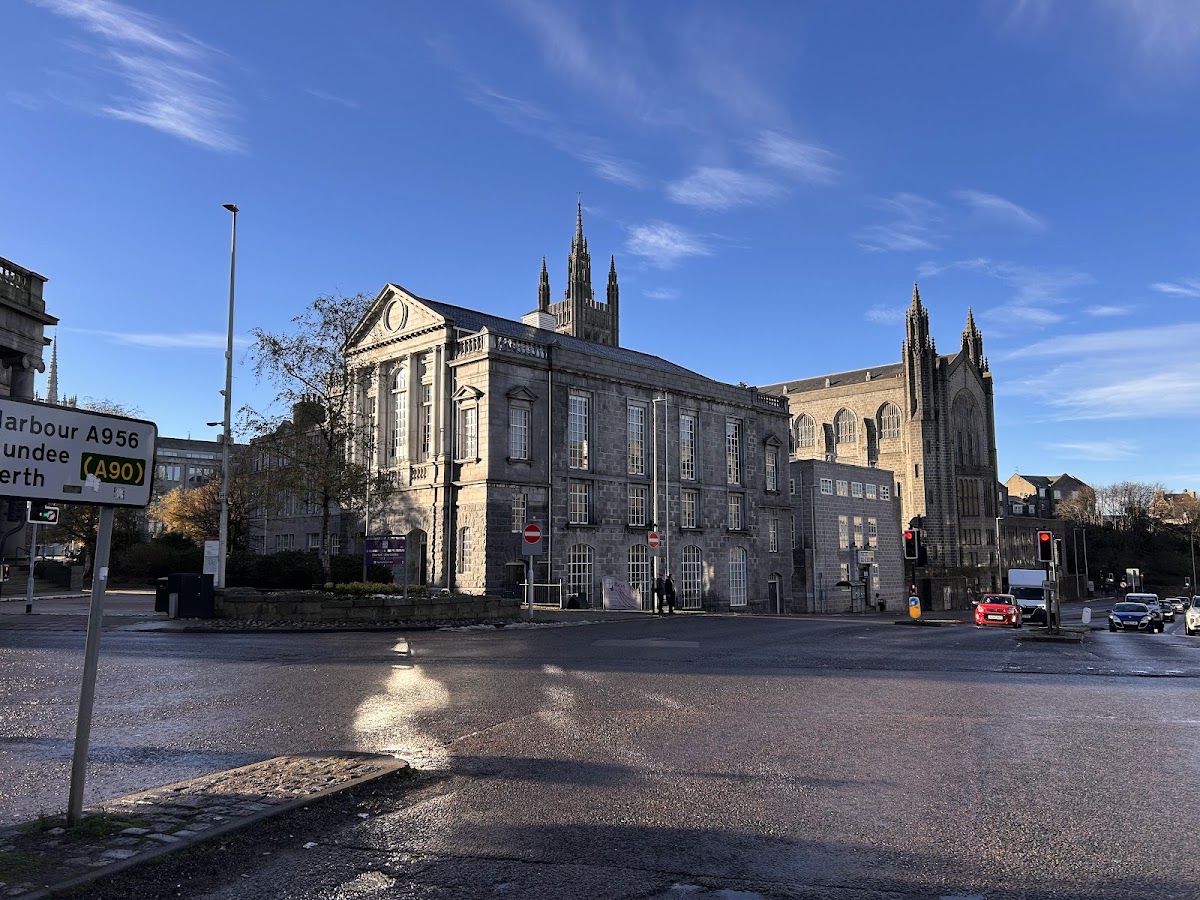 The Lemon Tree — photo 3