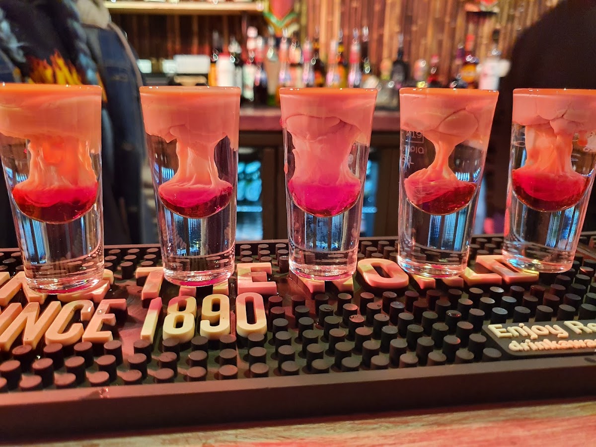 The Purple Turtle — photo 2