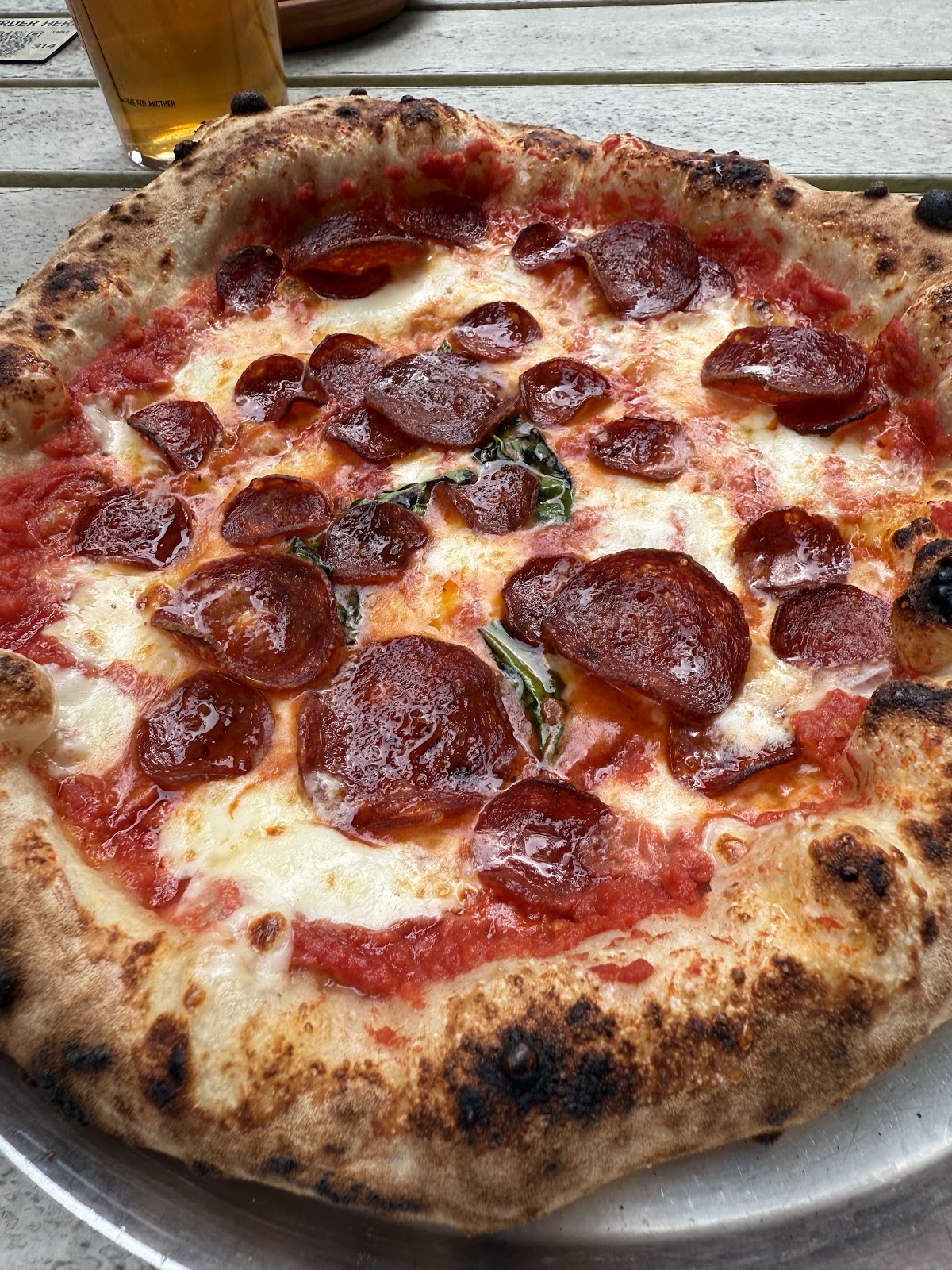 The Slow & Steady — photo 2