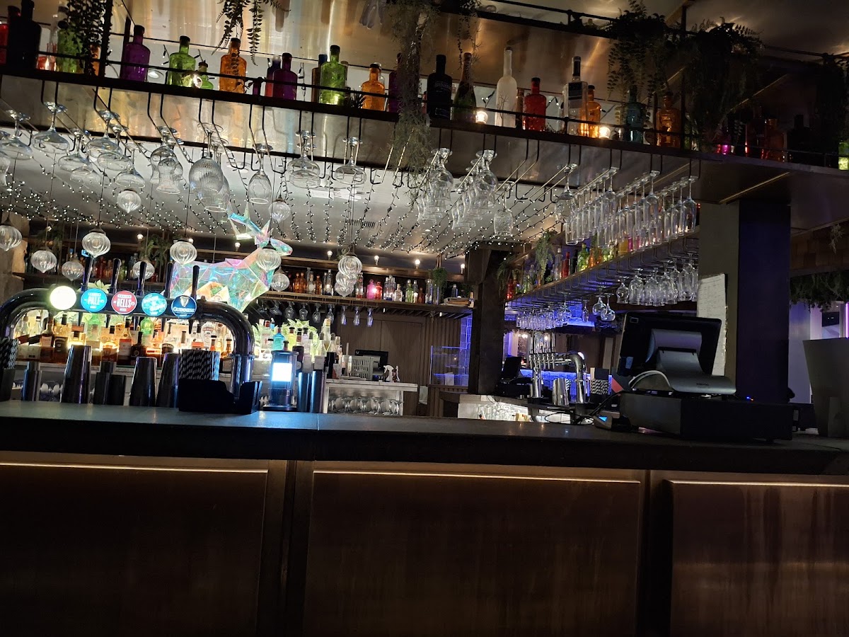 The Social — photo 4