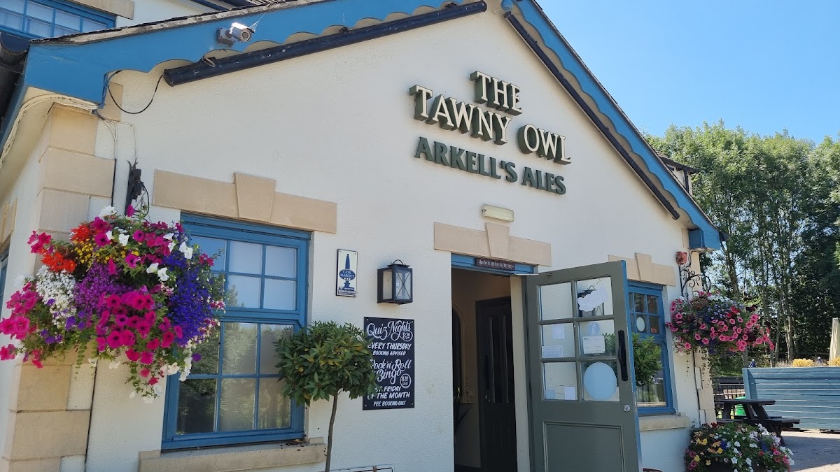 The Tawny Owl — photo 1