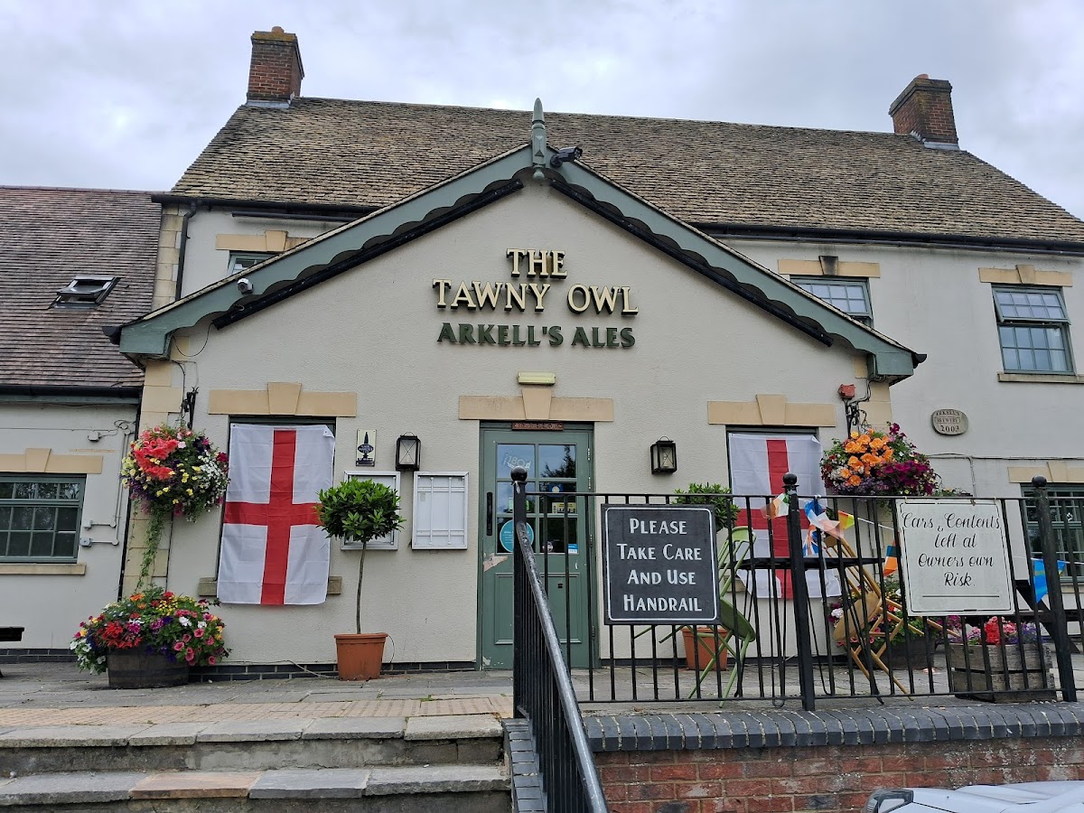 The Tawny Owl — photo 3