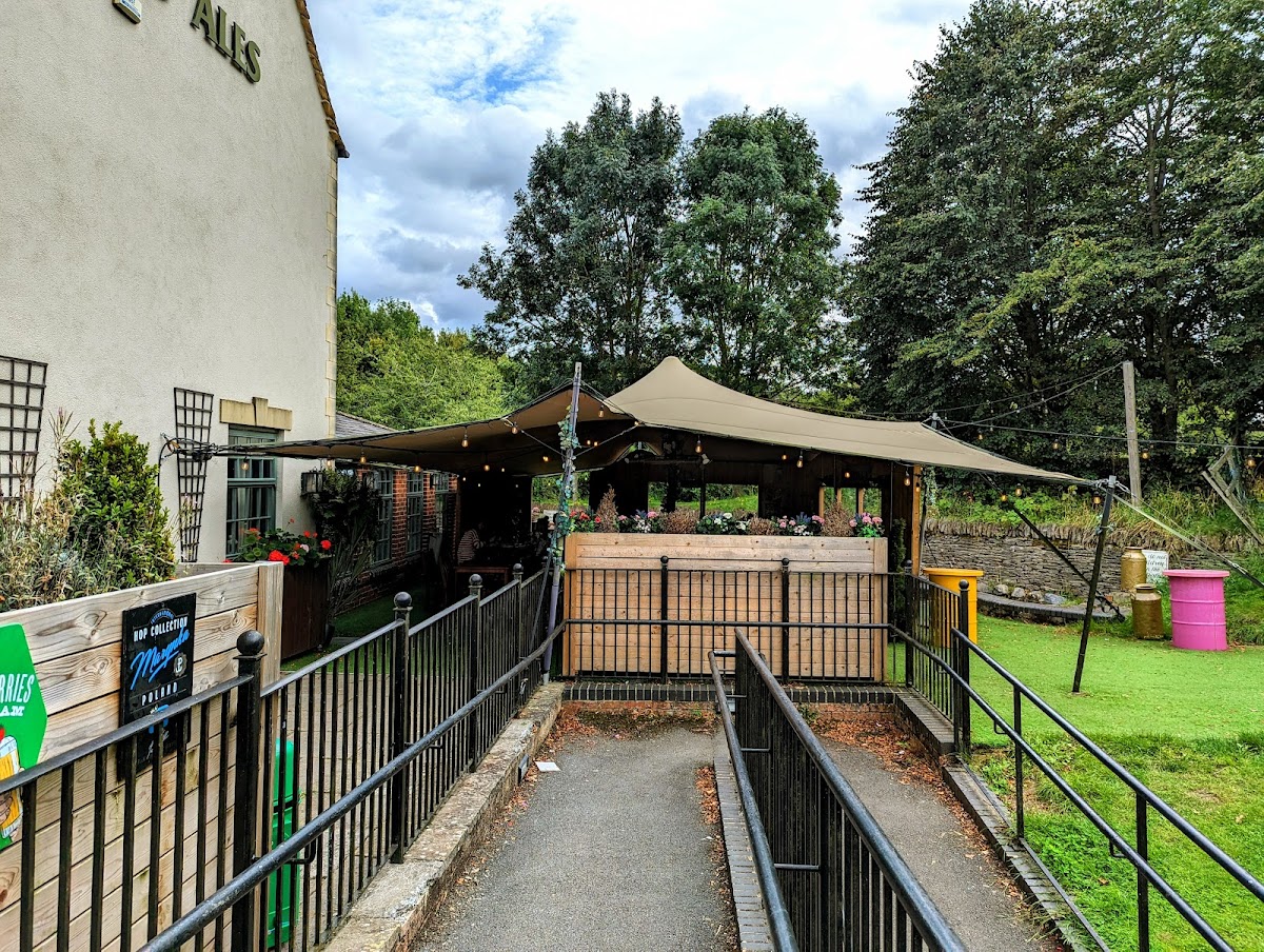 The Tawny Owl — photo 4