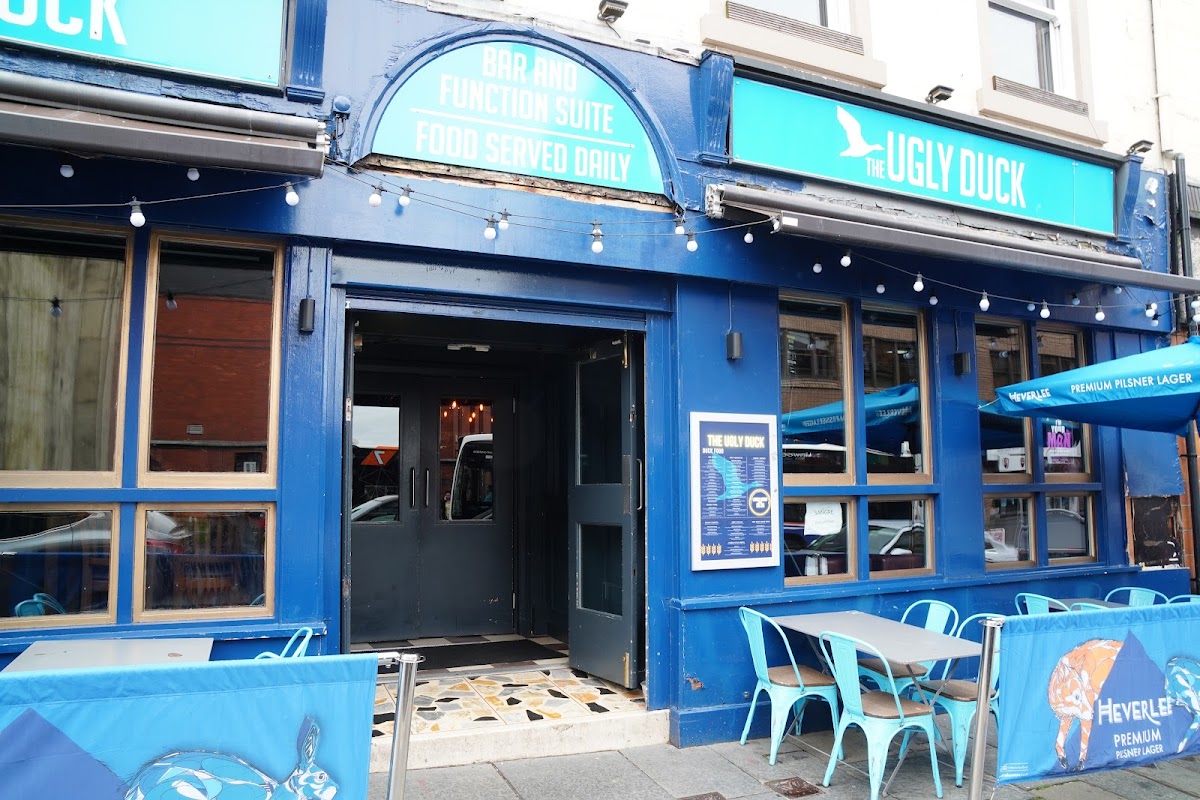 The Ugly Duck — photo 1