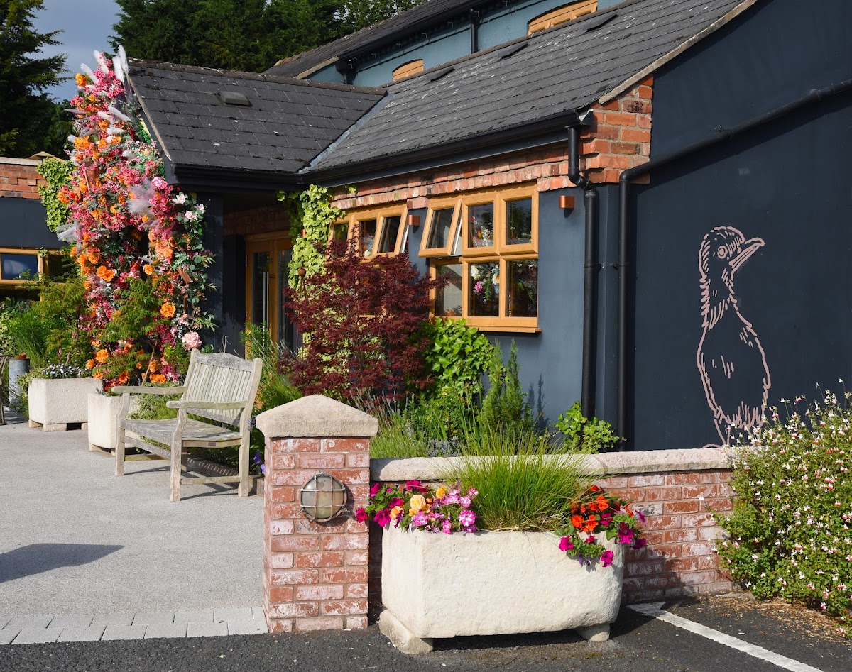 The Ugly Duckling — photo 3