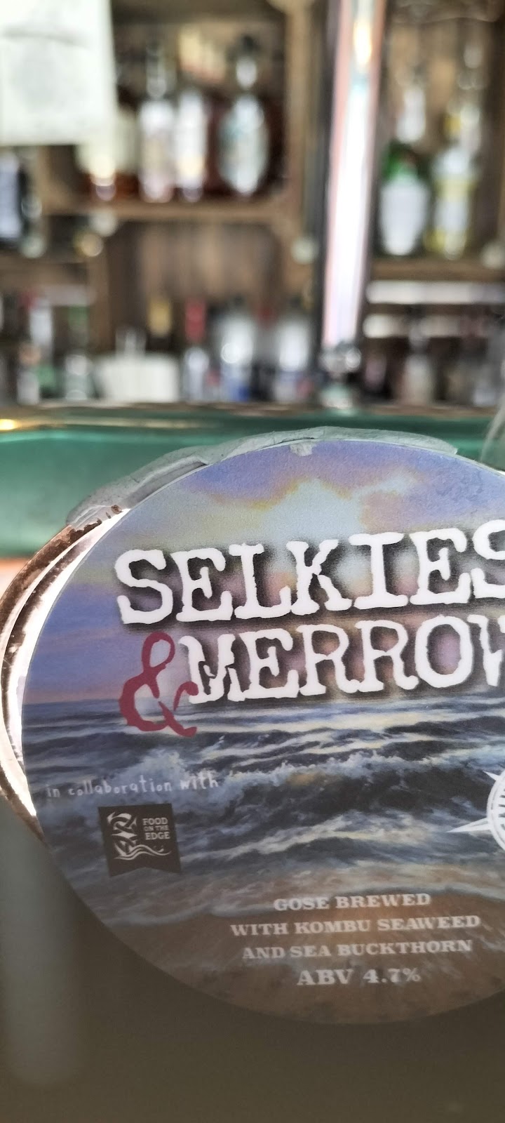 Tipsy Toad — photo 4