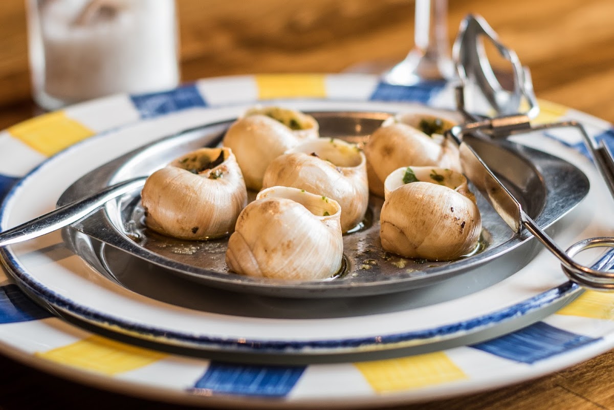 Toulouse Lautrec — photo 2