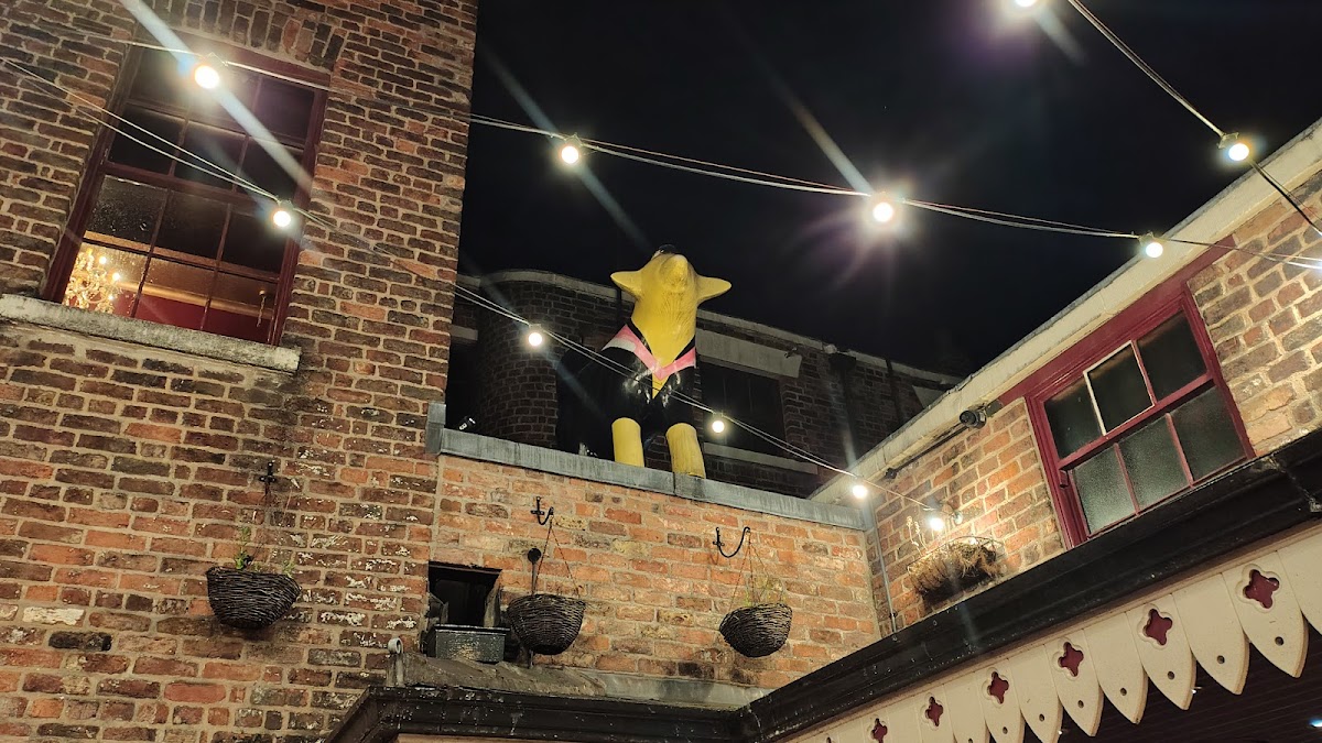 Tunnel (Heebie Jeebies Basement) — photo 2