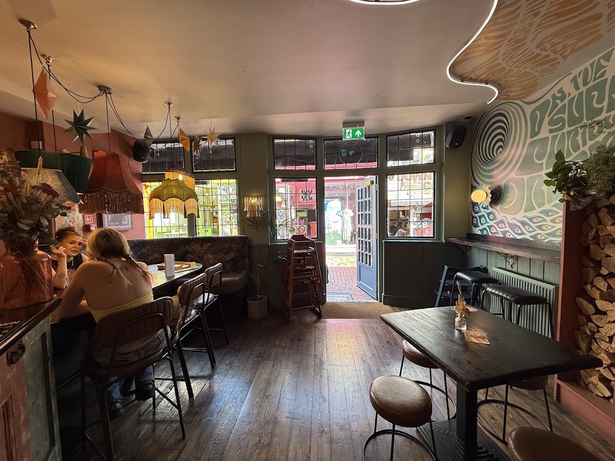 White Rabbit — photo 4