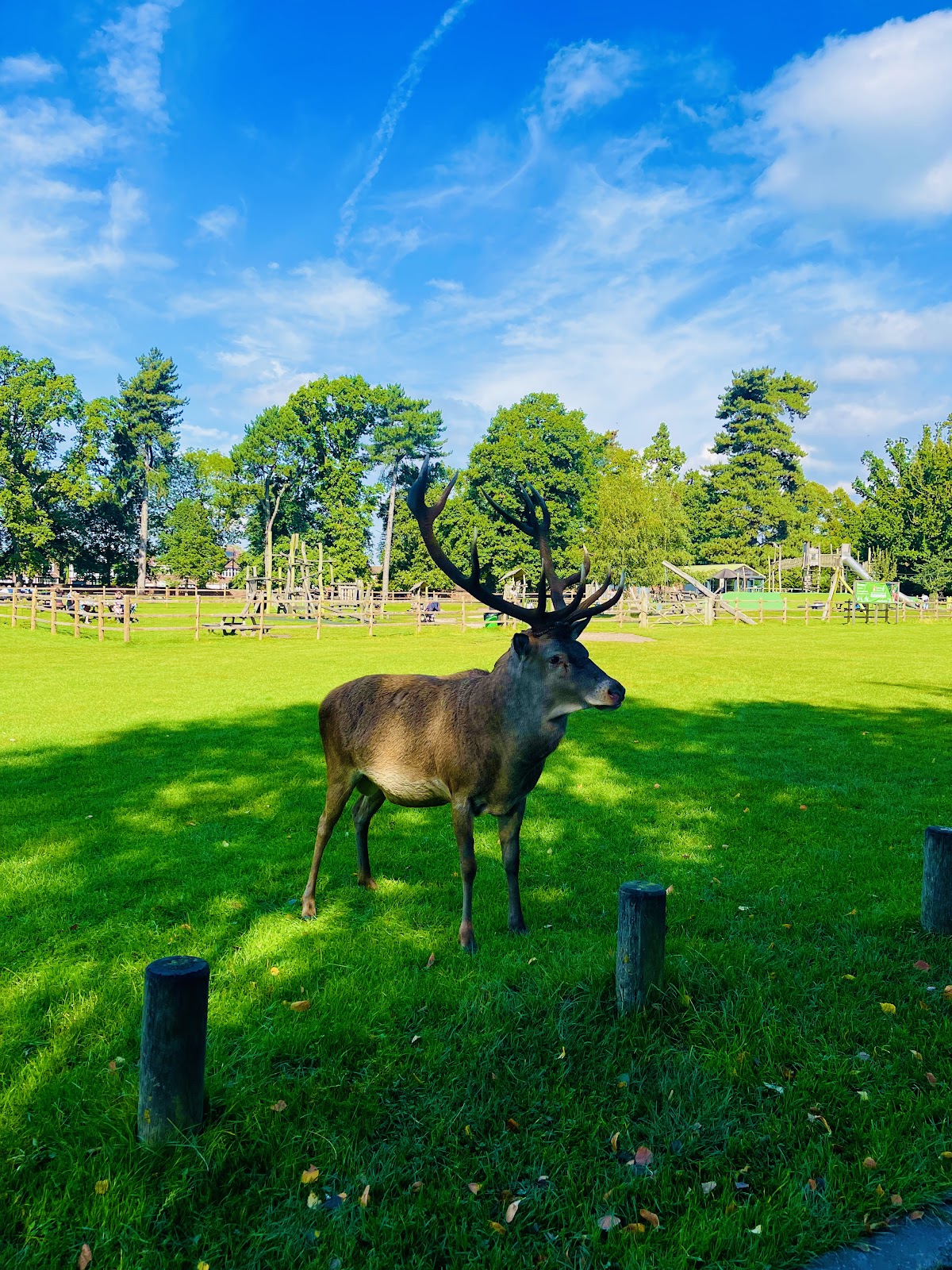 Wollaton Hall — photo 2