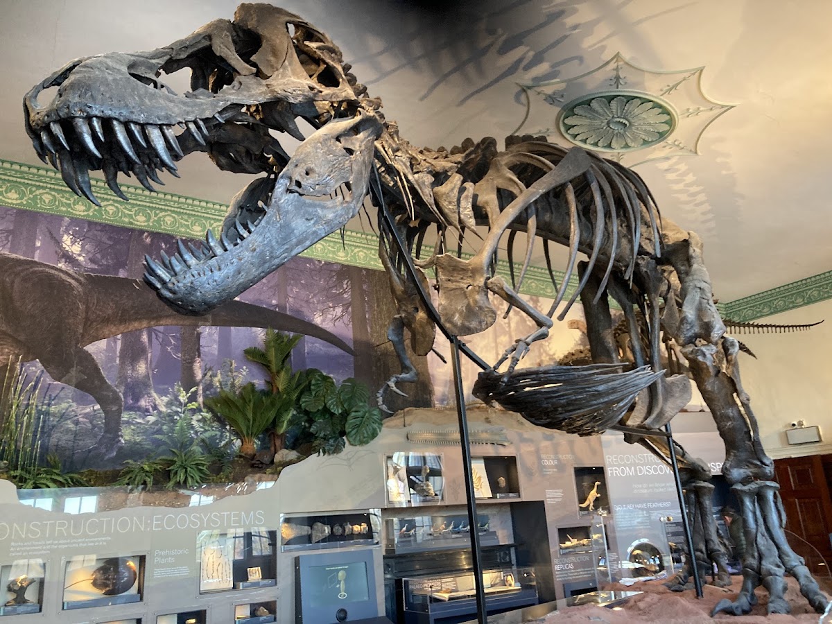 Wollaton Hall — photo 3