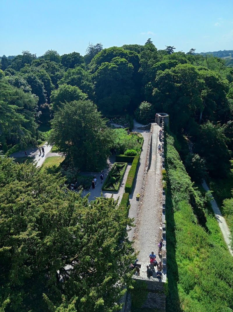 Blarney Stone photo