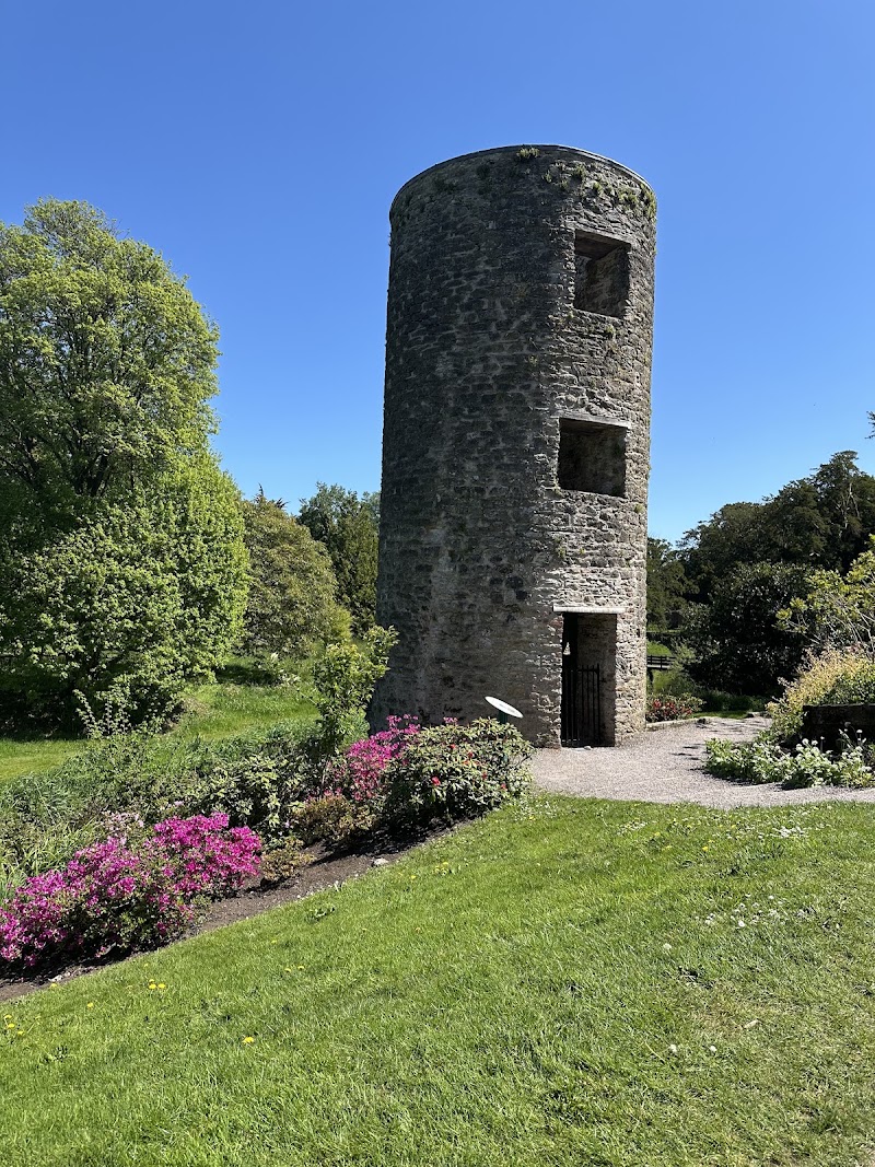 Blarney Stone photo