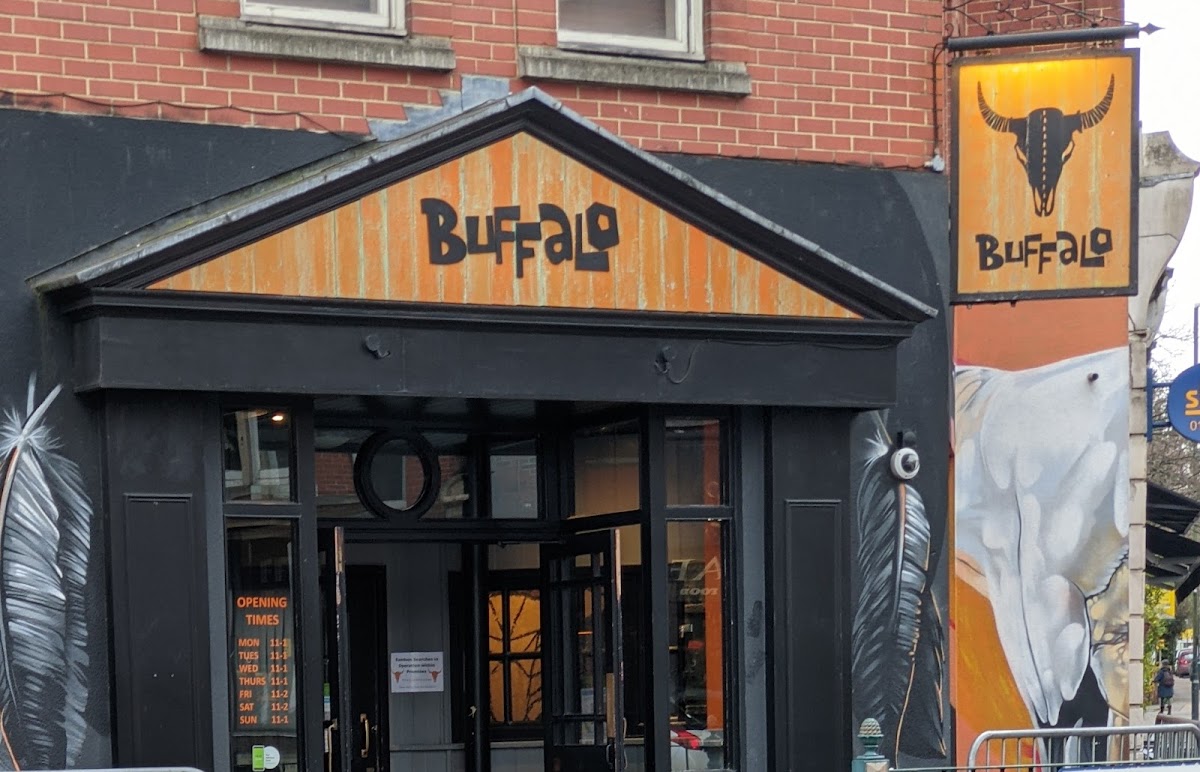 Buffalo photo