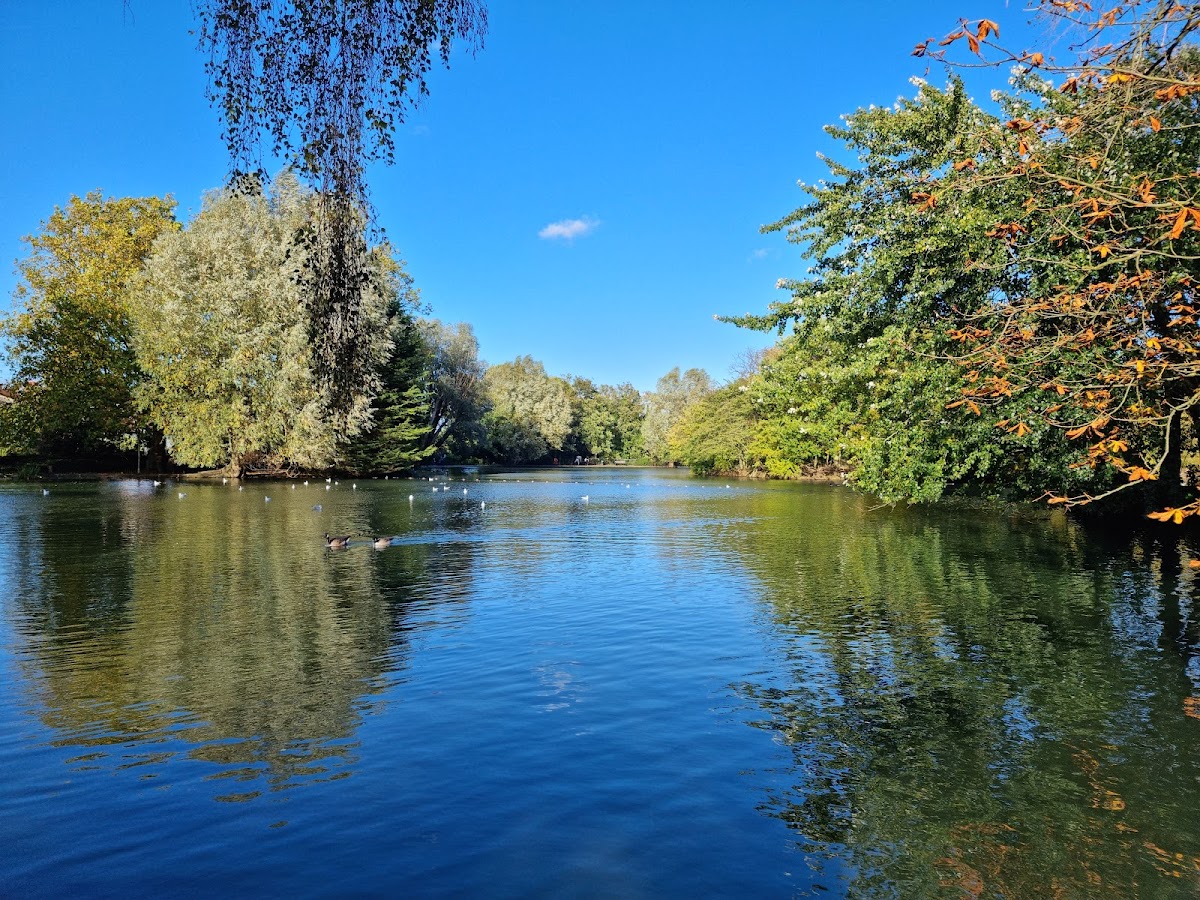 Alexandra Palace Park photo