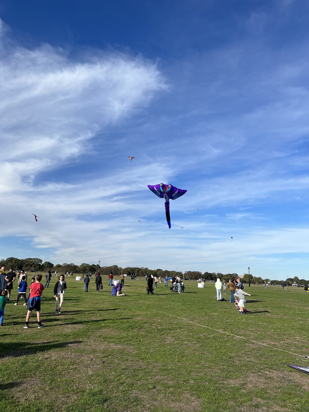 Blackheath Common photo