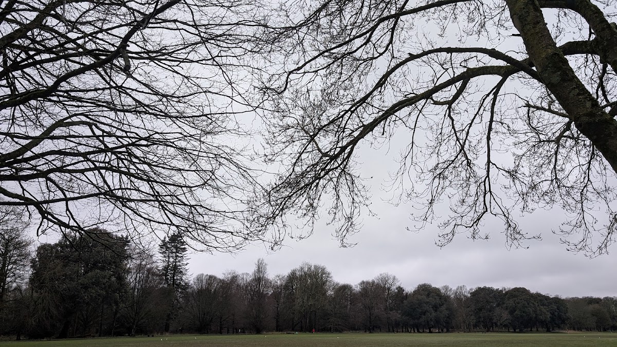 Blackweir Fields, Cardiff photo