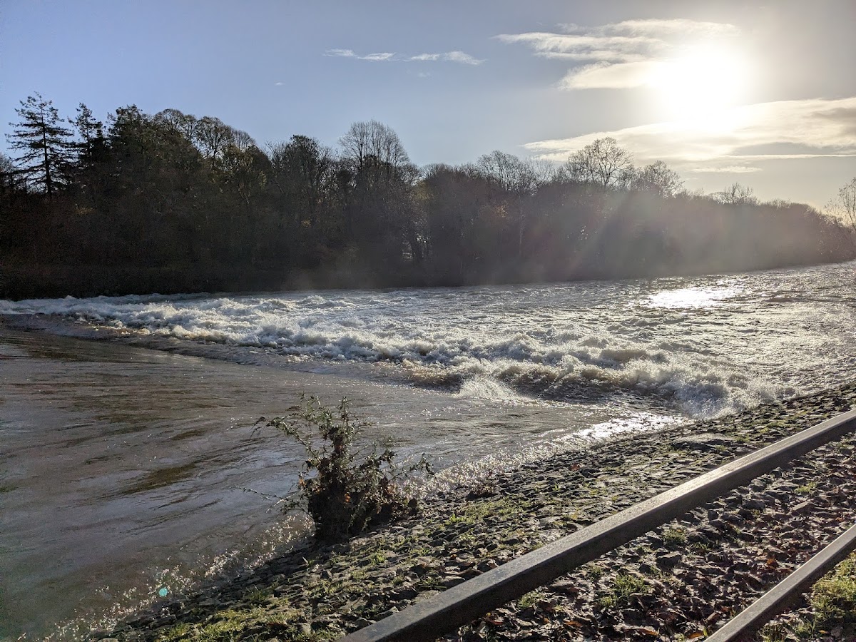 Blackweir Fields, Cardiff photo