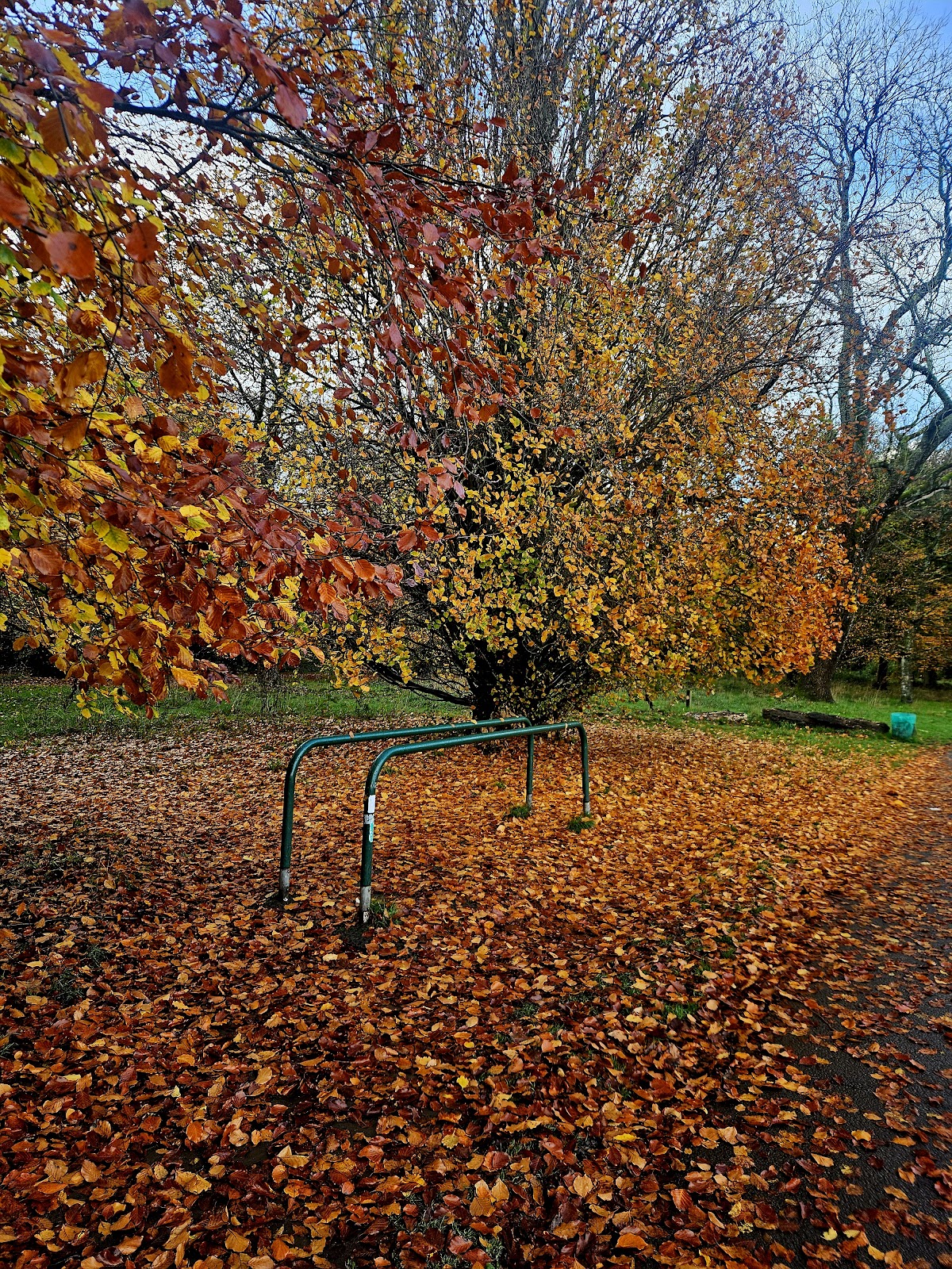 Blackweir Fields, Cardiff photo