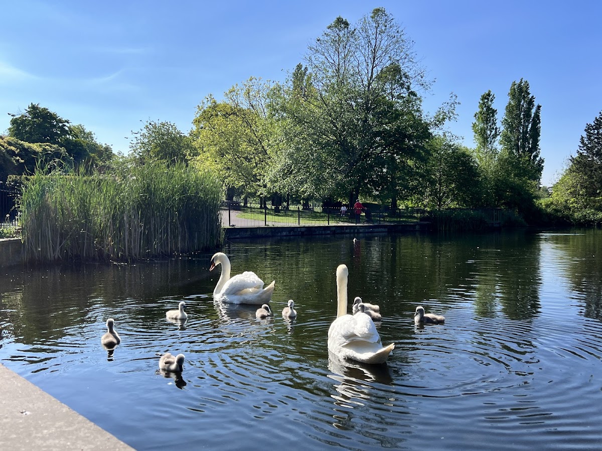 Brockwell Park photo