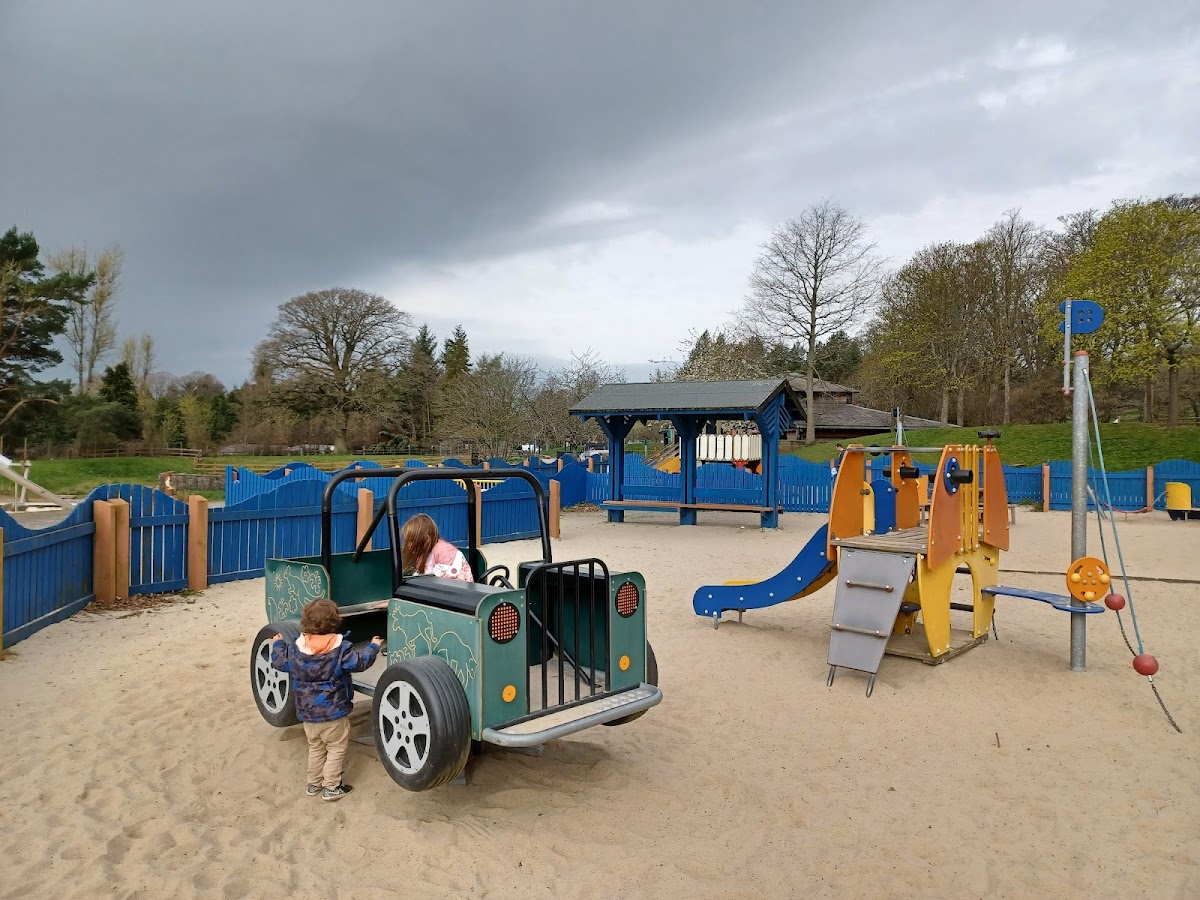Camperdown Country Park photo