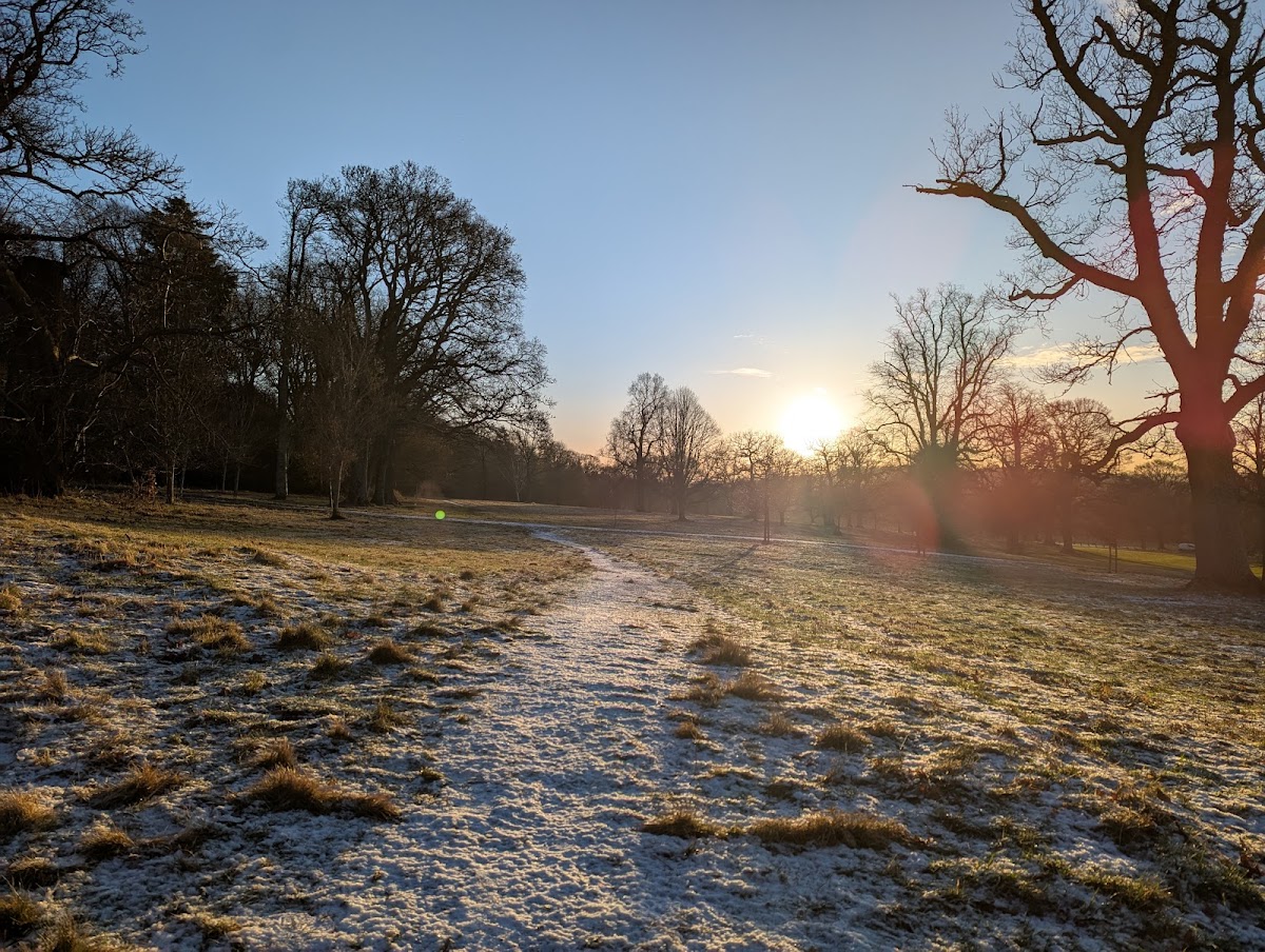 Camperdown Country Park photo