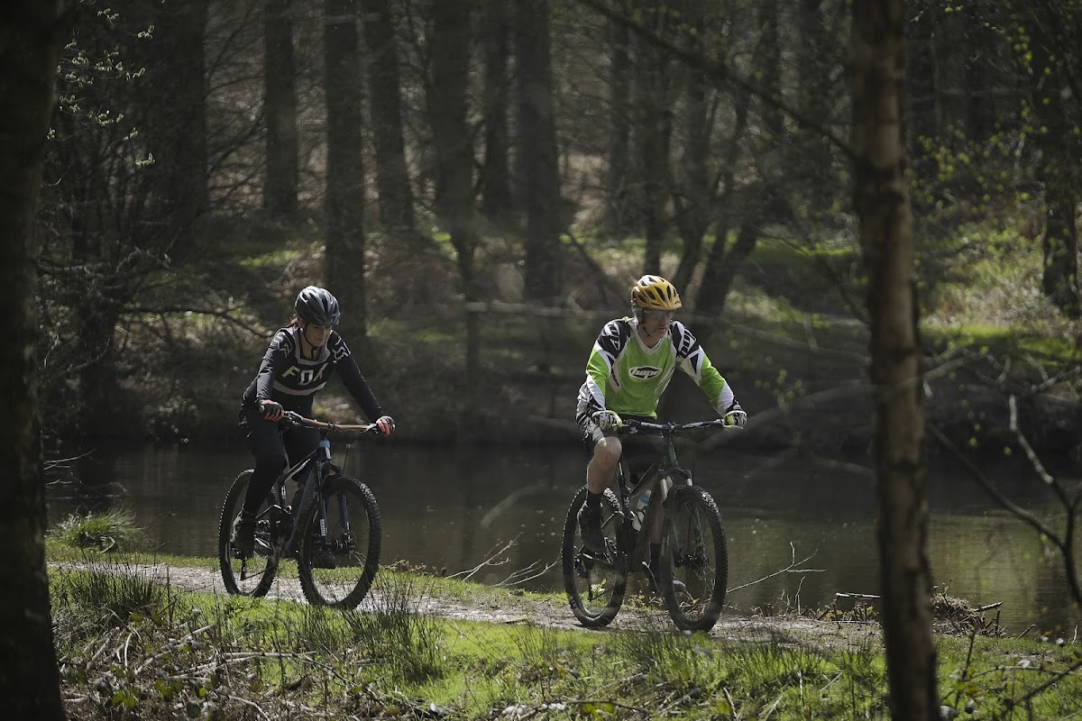Cannock Chase Forest photo