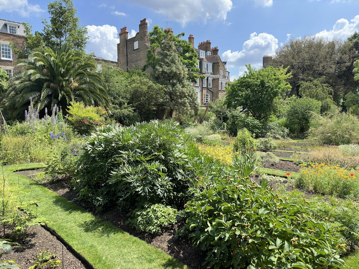 Chelsea Physic Garden photo