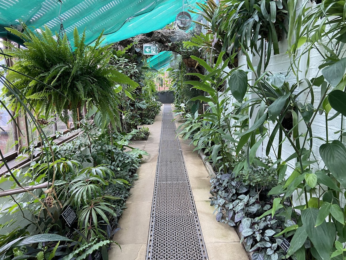 Chelsea Physic Garden photo
