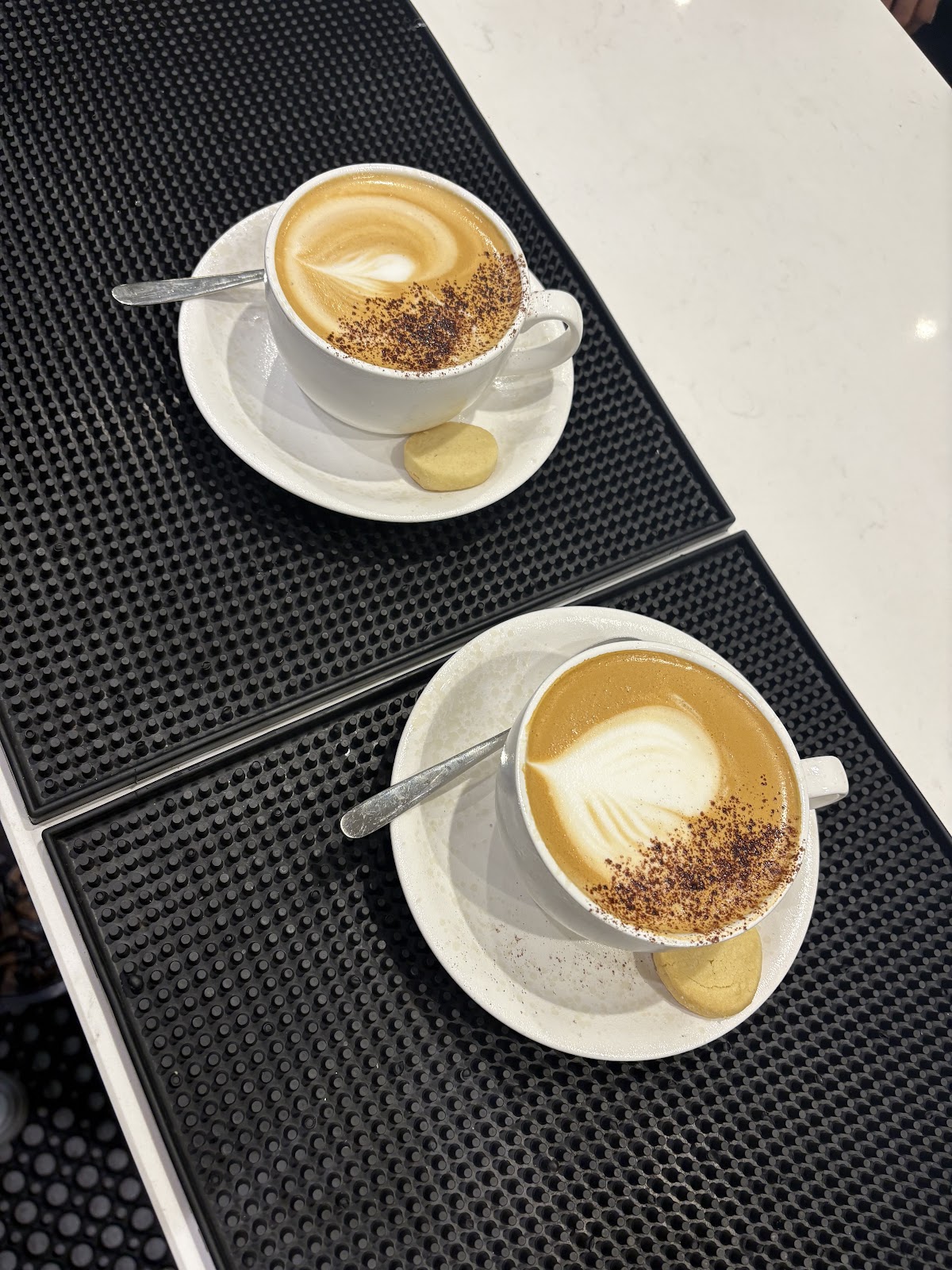 Cocos Stanmore photo