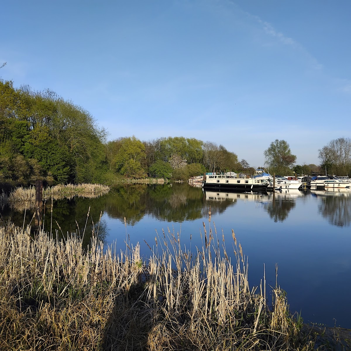 Colwick Country Park photo