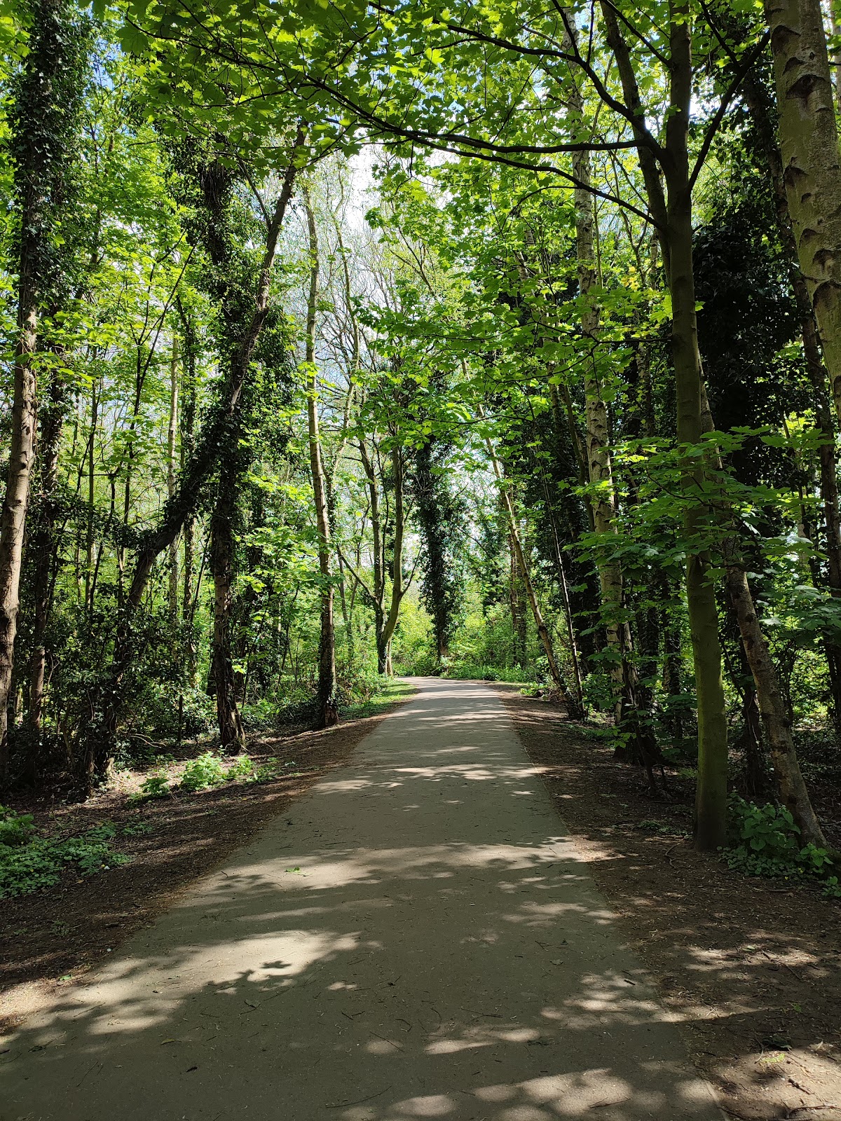 Colwick Country Park photo