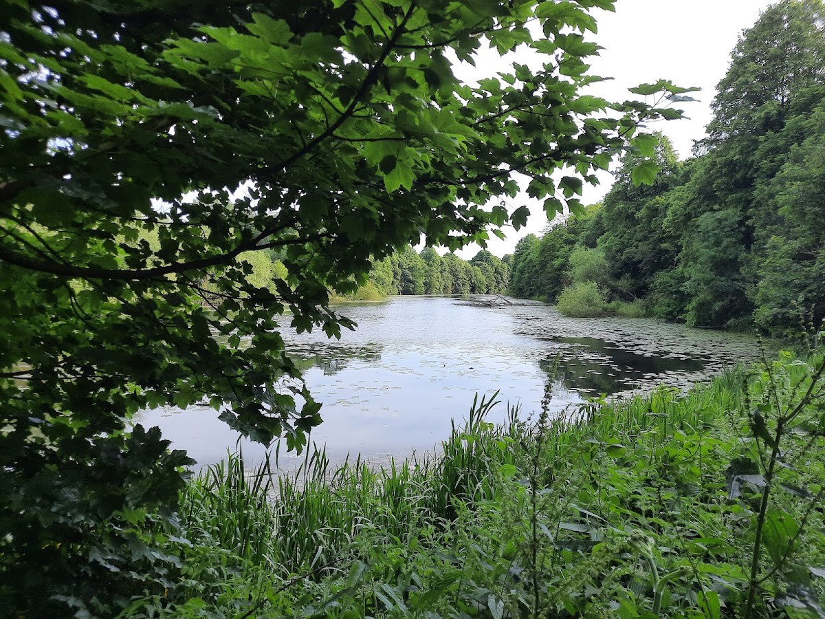 Colwick Park photo