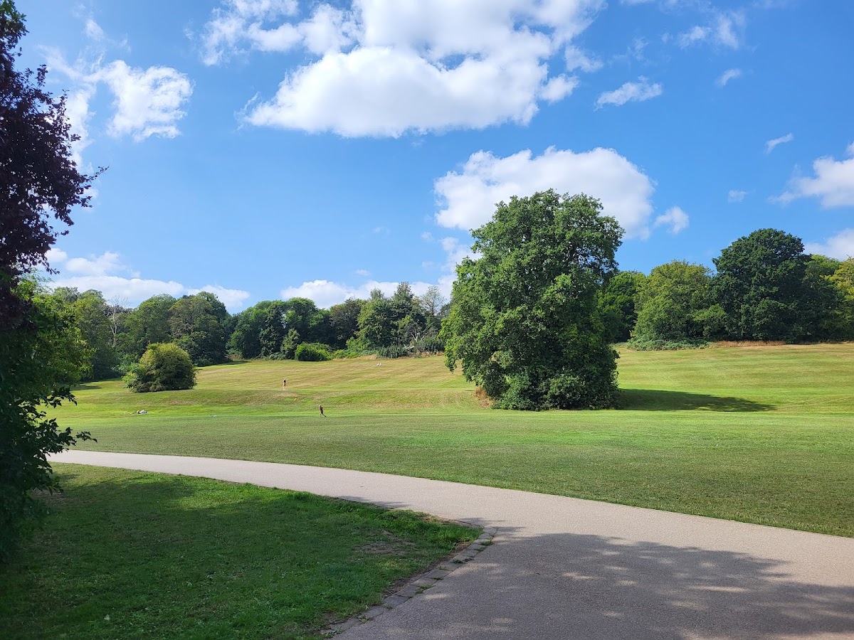 Darley Park photo