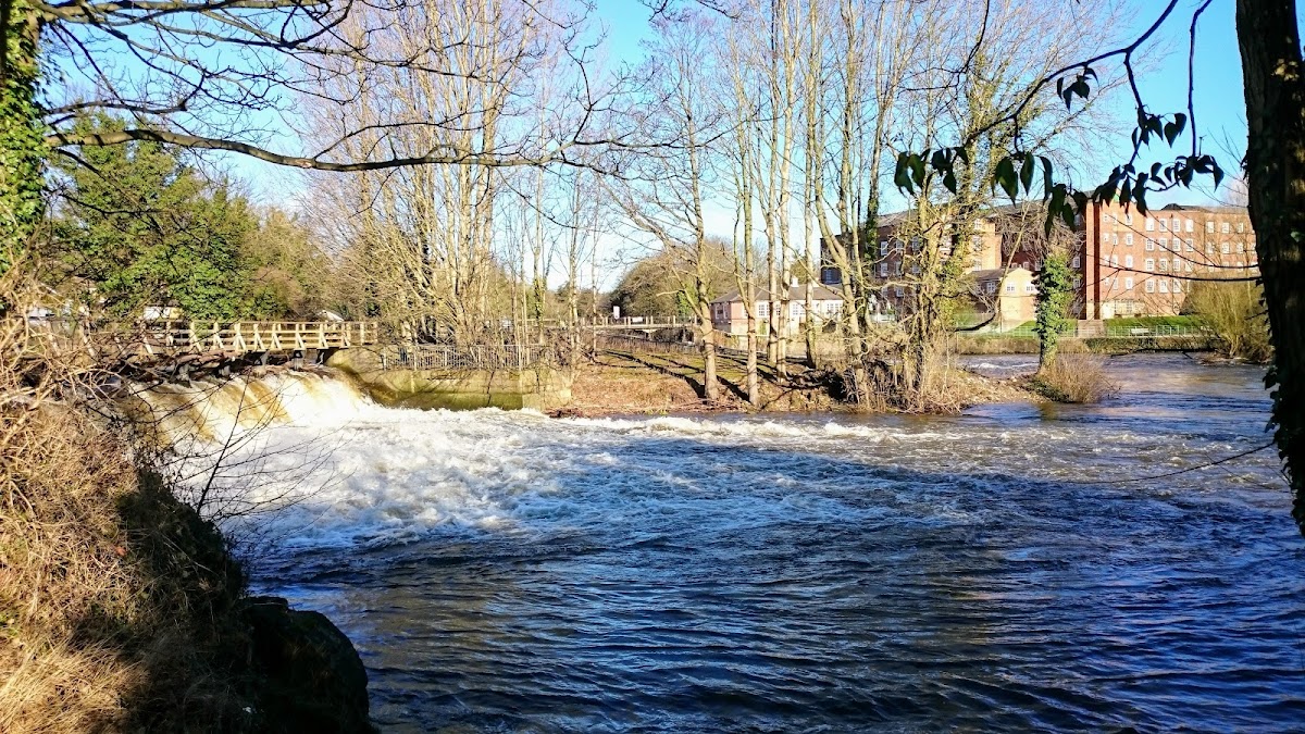 Darley Park photo