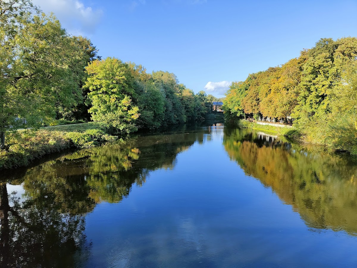 Darley Park photo