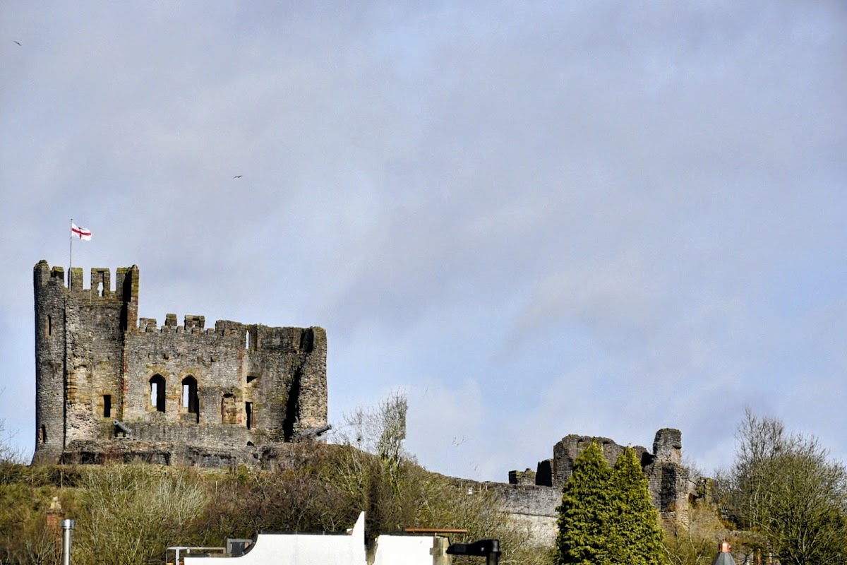 Dudley Town Hall photo
